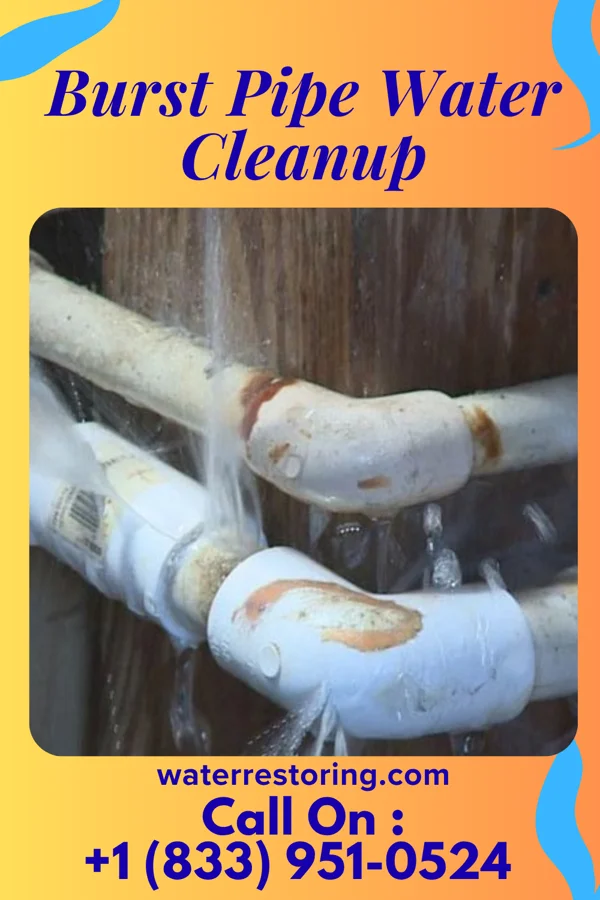 Burst Pipe Water Cleanup in Ardencroft, DE