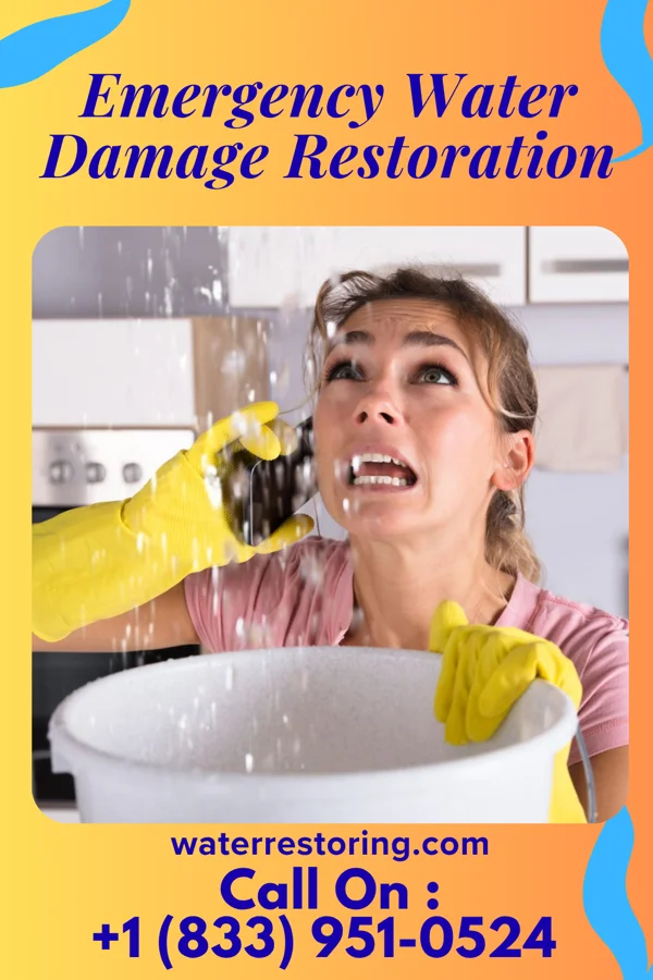 Emergency Water Damage Restoration in Ardencroft, DE