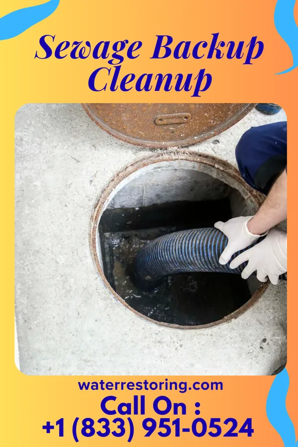 Sewage Backup Cleanup in Ardencroft, DE