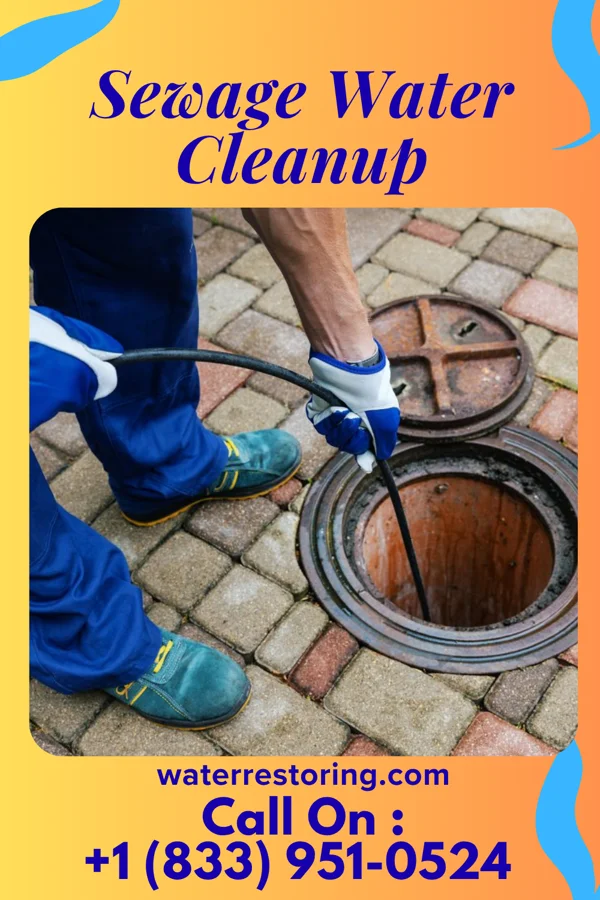 Sewage Water Cleanup in Ardencroft, DE
